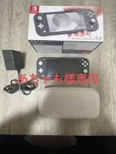Nintendo Switch Lite グレー 充電器・ケース・箱付き