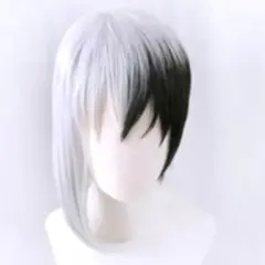 Dr.ストーン ドクターストーン あさぎりゲン ウィッグ - メルカリ
