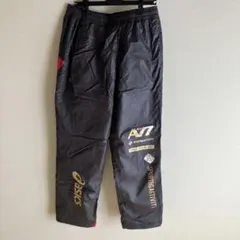 Item thumbnail for item d7afd9c7-86e2-4674-8887-996302acc394