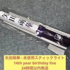 乃木坂46 矢田萌華 スティックライト ペンライト 2本 乃木坂46 個別スティックライト ペンライト 矢田萌華 2本 - メルカリ