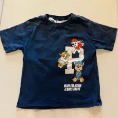 パウパトTシャツ 18-24ヶ月 ZARA