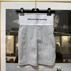 Alexander Wang ロゴエラスティック ミニスカート グレーのサムネイル