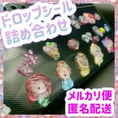 ドロップシール　おすそ分け　詰め合わせ　ディズニー　プリーセス　パンダ　ジュエル