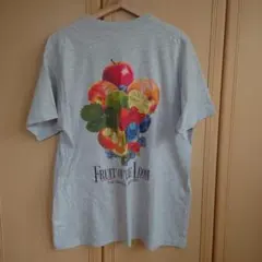 FRUIT OF THE LOOM フルーツオブザルーム Tシャツのサムネイル