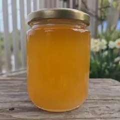 日本蜜蜂の純粋天然生百花蜜 白いトロトロハチミツ300g - メルカリ