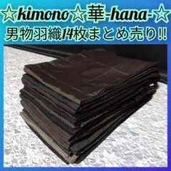 Item thumbnail for item da203519-474d-46ab-9483-1ef22ad13fd0