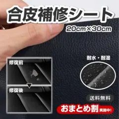 Item thumbnail for item 94b4b20a-ca3f-42ea-b0b5-040aa90667f4