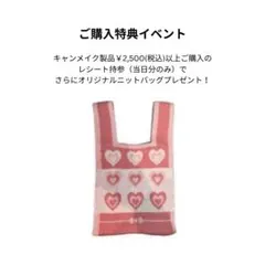 CANMAKE オリジナルニットバッグ ピンクのサムネイル