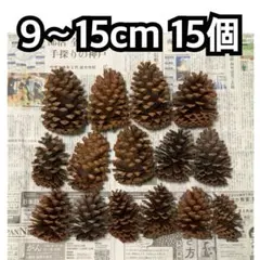 2026年最新】大王松の人気アイテム - メルカリ