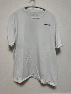 ^*☆様 patagonia ホワイト Tシャツ