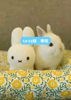 ta-ta様　専用