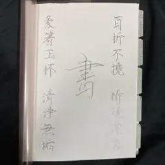 2026年最新】桜蔭の人気アイテム - メルカリ