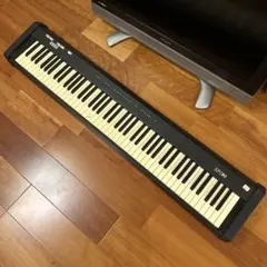 2026年最新】コルグ SP-100の人気アイテム - メルカリ