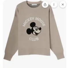 Item thumbnail for item 2e0bf30a-2dca-454d-933e-c3838e154c48