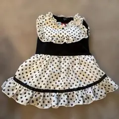 ANNA SUI 犬服