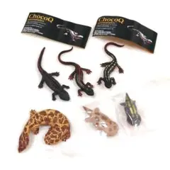 【6点まとめ売り】イモリとオオサンショウウオのサムネイル