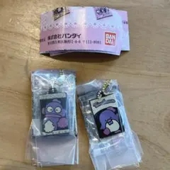 サンリオキャラクターズ キャラパキ ミニチュアコレクション2点セット