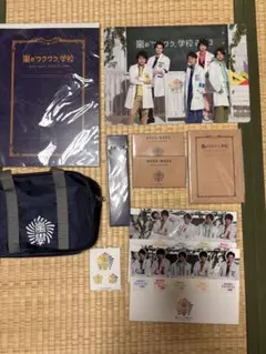 嵐　ワクワク学校2013　グッズ10点セット