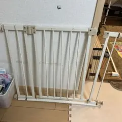 Item thumbnail for item 0681a89e-1727-4b9f-89c4-ede262ecec0d