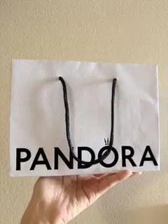 PANDORA ショップ袋 ショッパー 紙袋のサムネイル
