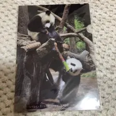 Item thumbnail for item 5f998e3a-81be-4630-a764-ae184716a844