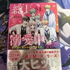 総長さま、溺愛中につき。SPECIAL