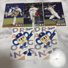 プロ野球チップス 2025 中日ドラゴンズ セット