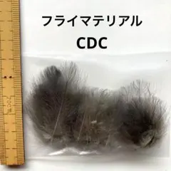 Item thumbnail for item da938444-b53a-4817-bfec-d968db554dd0