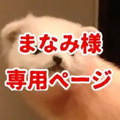 まなみ様の専用ページ