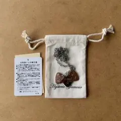 ヒステリックグラマー WOMAN ON SKULL PICK ネックレスのサムネイル