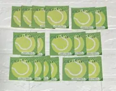 テニスの王子様 イオン プロフィールカード ステッカー