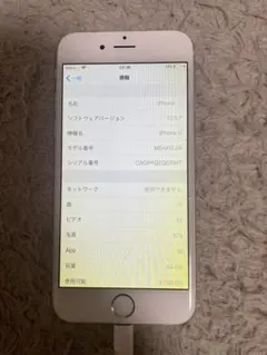 Apple iPhone 6 (iOS 12.5.8)