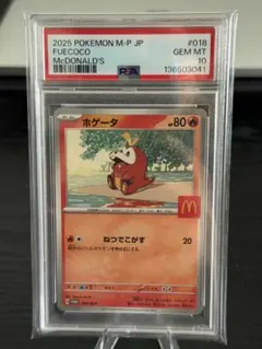 2026年最新】ホゲータ s psa10の人気アイテム - メルカリ