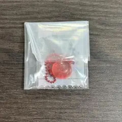 ＴＷＩＣＥ　ＬＯＶＥＬＹＳ グミ＆チャーム　ポーチつき チェヨン
