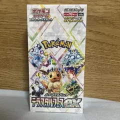 2025年最新】テラスタルフェスEX 1boxの人気アイテム - メルカリ