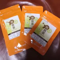 オーガランド 酪酸菌 サプリメント 合計 5ヶ月分のサムネイル