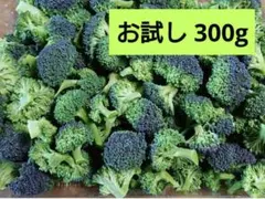 カットブロッコリー　少量　お試し　高知県産