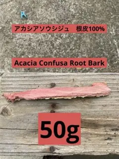 アカシア　Acacia ソウシジュ　　根皮100% 50g