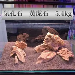 2026年最新】黄虎石の人気アイテム - メルカリ