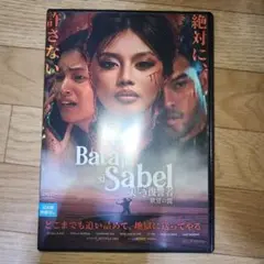 美しき復讐者　欲望の罠　DVD