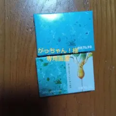 【専用画面】DR.VAPE Model3 ミントメンソール