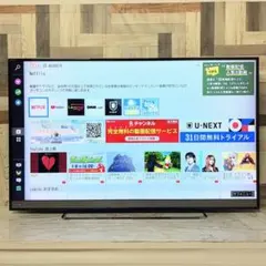 ソネチナツさん専用フナイ65型録画機能内蔵3TB 6チューナーYouTube