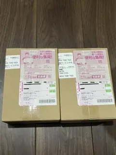 【ポケセン産】　ブラックボルト　ホワイトフレア　拡張パックデラックス　各1BOX