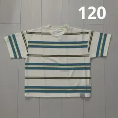 and D. petit main☆ボーダービッグTシャツ120