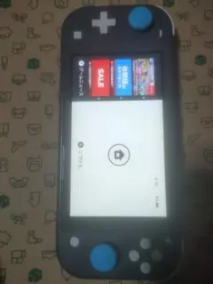 ニンテンドースイッチライト 本体 充電器のみ