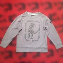 ティラノサウルス 薄手 トレーナー グレー 130