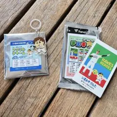 シークレットアクリルチャーム チェキ ホークス しんちゃん 今宮健太