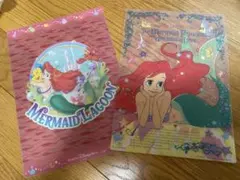 Item thumbnail for item 040097f3-3511-4e16-980f-16702518f09c