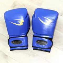 Item thumbnail for item 799cfc22-986d-4570-bd78-3f5a89d5db8b