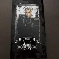 2025年最新】フィリックス ソウルコン トレカの人気アイテム - メルカリ